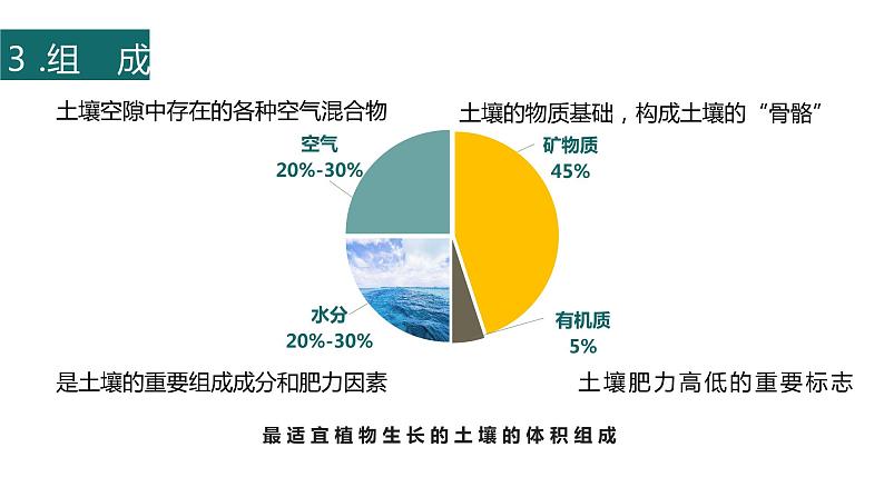 5.2 《土壤的形成》课件08