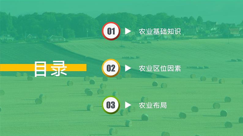 湘教版（2019）高中地理必修二：3.1《农业区位因素与农业布局》课件05