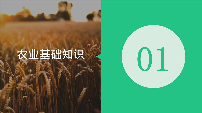 湘教版（2019）高中地理必修二：3.1《农业区位因素与农业布局》课件06