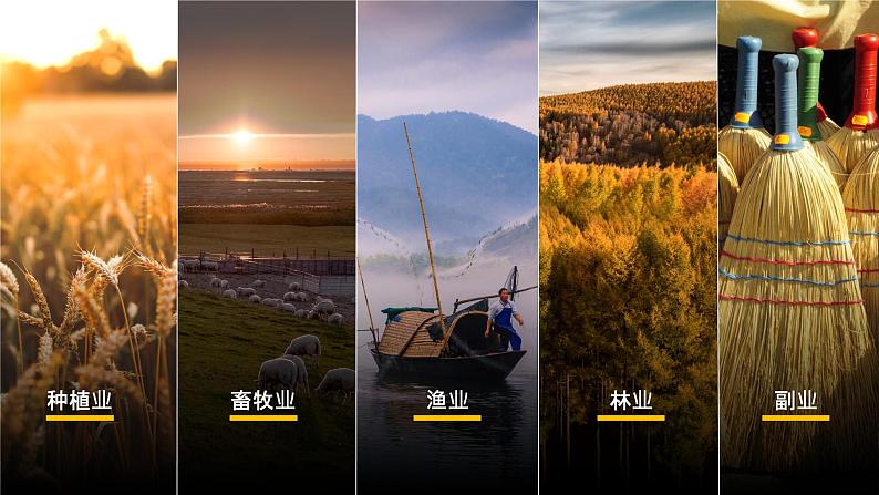 湘教版（2019）高中地理必修二：3.1《农业区位因素与农业布局》课件08