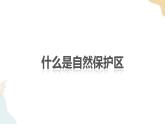 3.2自然保護(hù)區(qū)與生態(tài)安全 第一課時(shí) 課件