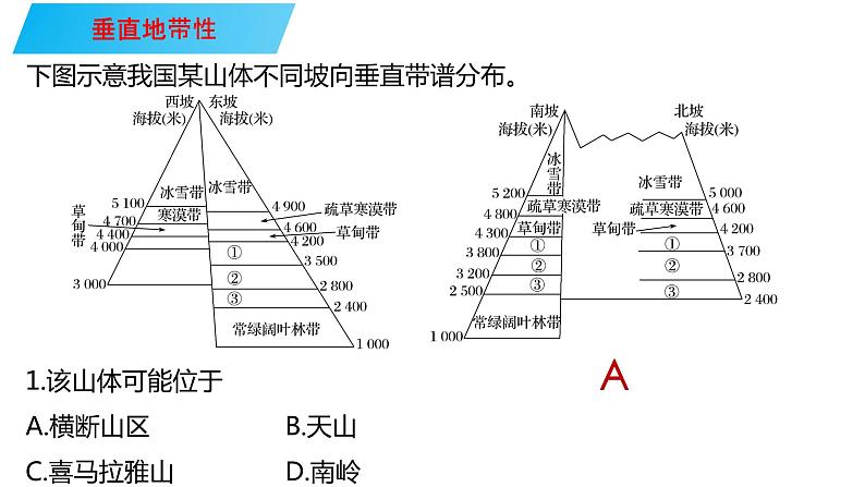 101垂直地带性与非地带性2023届高三地理一轮总复习第五部分自然地理之地理环境整体性与差异性课件PPT第4页