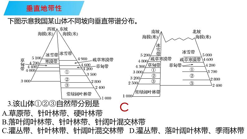 101垂直地带性与非地带性2023届高三地理一轮总复习第五部分自然地理之地理环境整体性与差异性课件PPT第6页