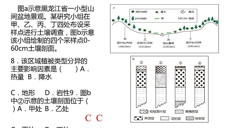 102植被与土壤2023届高三地理一轮总复习第五部分自然地理之地理环境整体性与差异性课件PPT第4页