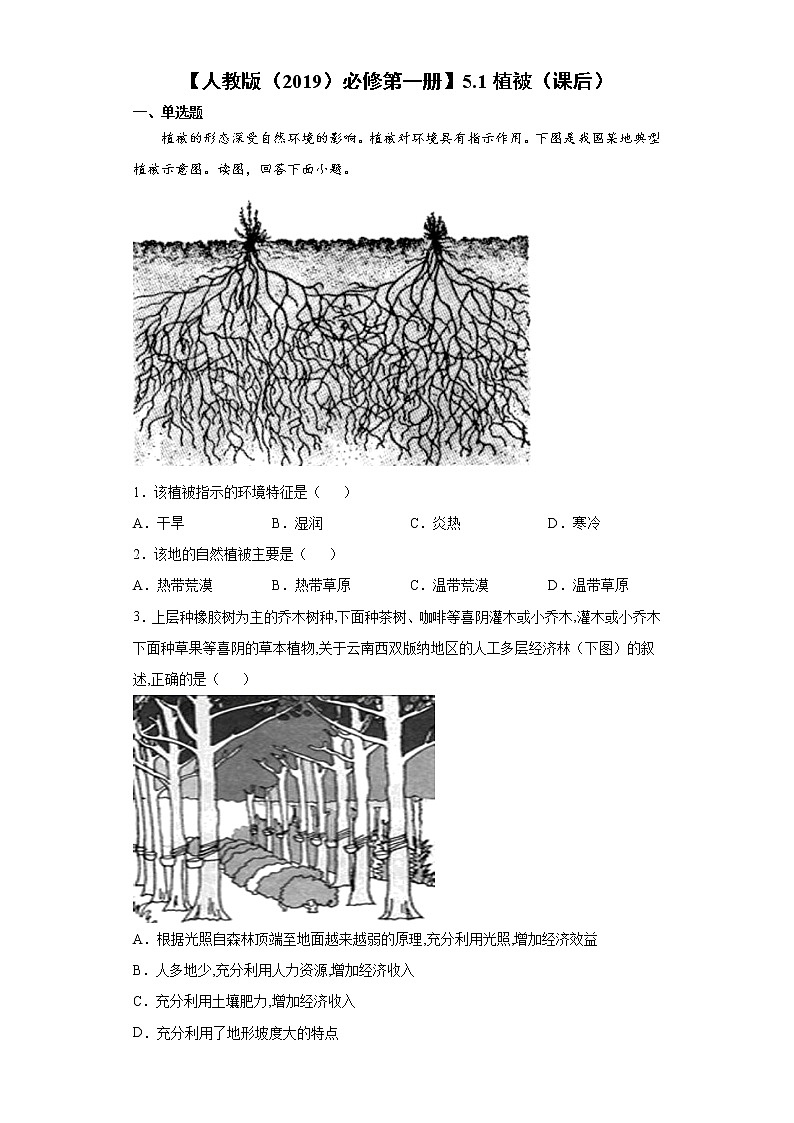 5.1 植被（课后）-高中地理人教版（2019）必修第一册课前课中课后同步试题精编01