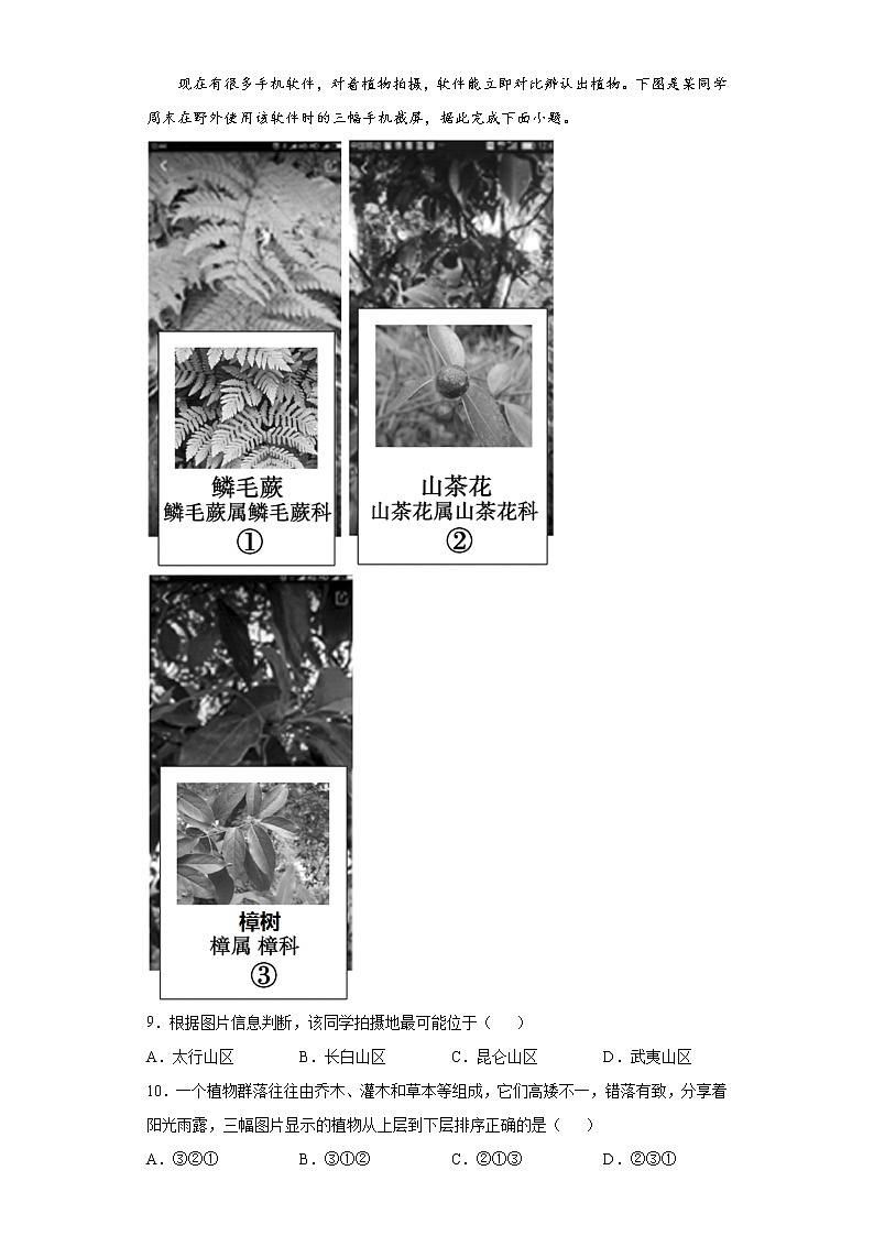 5.1 植被（课后）-高中地理人教版（2019）必修第一册课前课中课后同步试题精编03