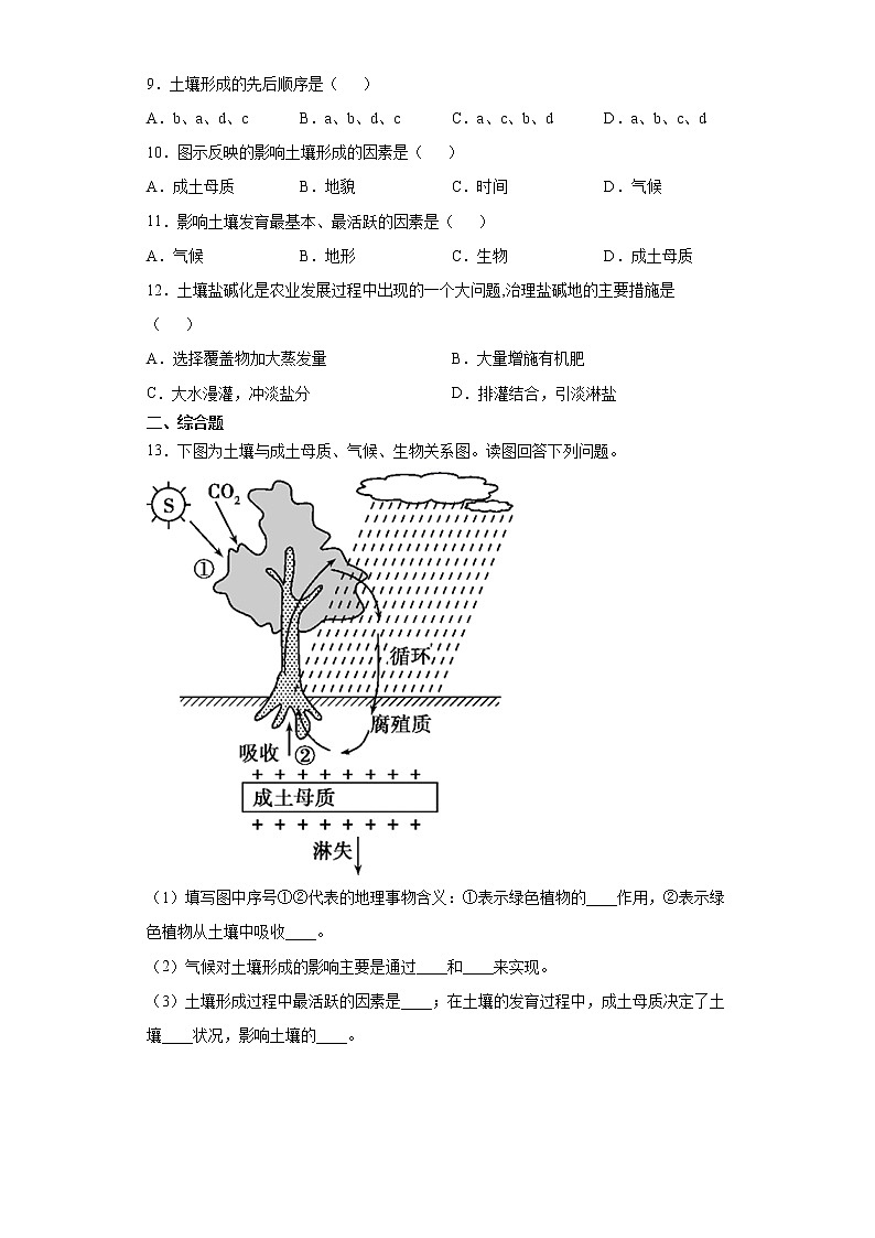 5.2 土壤（课中）-高中地理人教版（2019）必修第一册课前课中课后同步试题精编03
