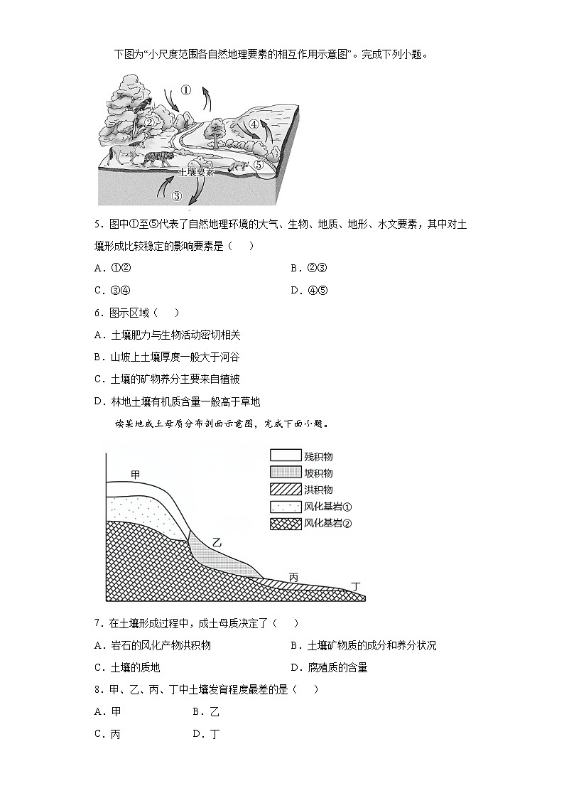 5.2 土壤（课后）-高中地理人教版（2019）必修第一册课前课中课后同步试题精编02