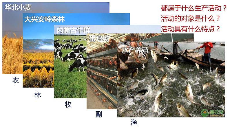 3.1农业区位因素及其变化 课件 2022-2023学年高中地理人教版（2019）必修二02