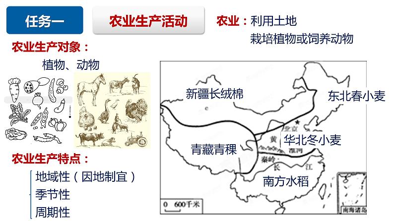 3.1农业区位因素及其变化 课件 2022-2023学年高中地理人教版（2019）必修二03