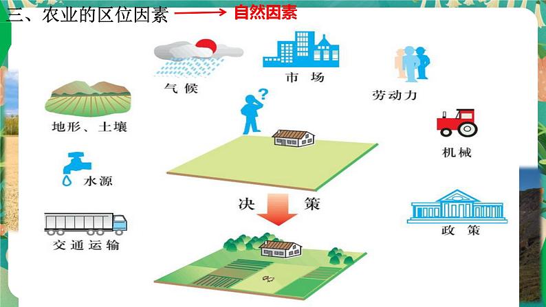 3.1 农业的区位选择 课件第7页