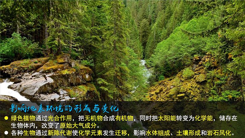 高中地理必修一：2.3 生物圈与植被 课件第5页