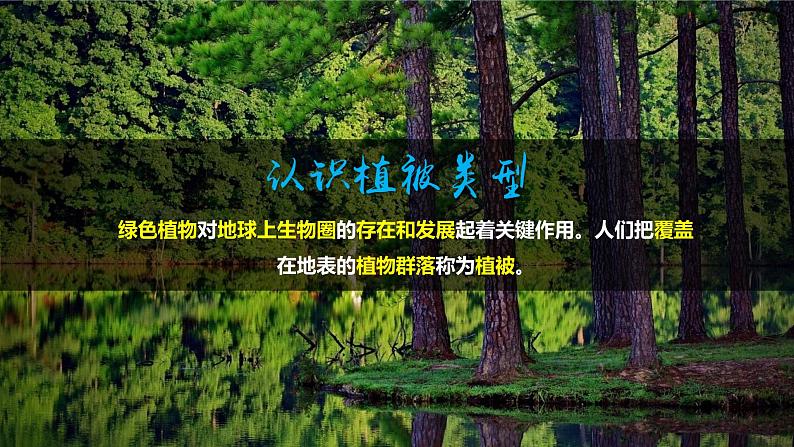 高中地理必修一：2.3 生物圈与植被 课件第7页