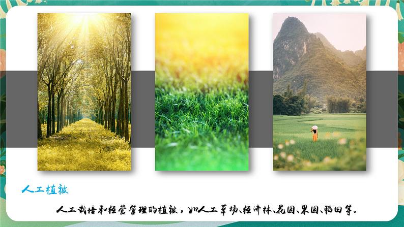 高中地理必修一：2.3 生物圈与植被 课件第8页