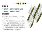 2.3+不同地区城镇化的过程和特点（课件+分层作业）-2022-2023学年高一地理同步备课系列（中图版2019必修第二册）
