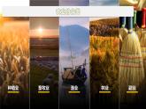 3.1+农业区位因素（课件+分层作业）-2022-2023学年高一地理同步备课系列（中图版2019必修第二册）