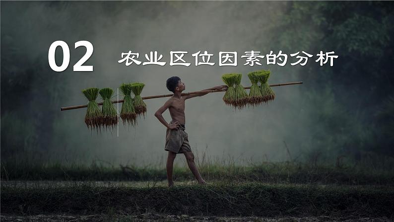 3.1+农业区位因素（精品课件）-【上好课】2022-2023学年高一地理同步备课系列（中图版2019必修第二册）第7页