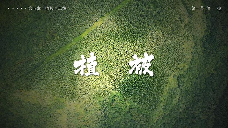 5.1植被（教学课件）高一地理同步备课系列（人教版2019必修第一册）01
