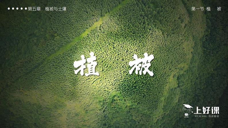 5.1植被（教学课件）高一地理同步备课系列（人教版2019必修第一册）01