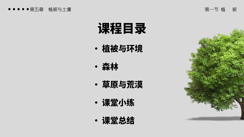 5.1植被（教学课件）高一地理同步备课系列（人教版2019必修第一册）02