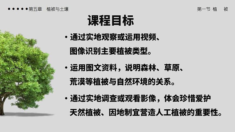 5.1植被（教学课件）高一地理同步备课系列（人教版2019必修第一册）03