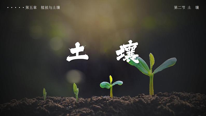 5.2土壤（教学课件）高一地理同步备课系列（人教版2019必修第一册）01