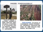 3.1城市的輻射功能 課件+教學設計+練習