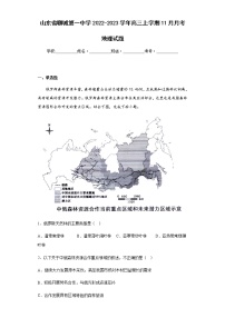 2022-2023学年山东省聊城第一中学高三上学期11月月考地理试题含解析