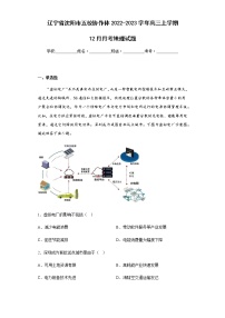 2022-2023学年辽宁省沈阳市五校协作体高三上学期12月月考地理试题含解析