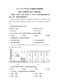 2022-2023学年湖北省湖北大学附属中学高一上学期期末考试 地理