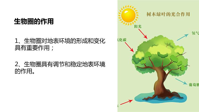 2.3 生物圈与植被 课件05