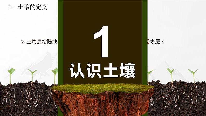 3.4分析土壤形成的原因 课件02