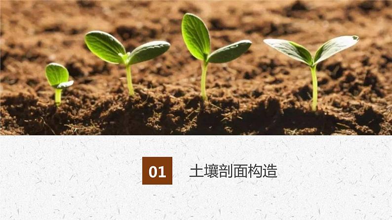 3.4分析土壤形成的原因 课件03