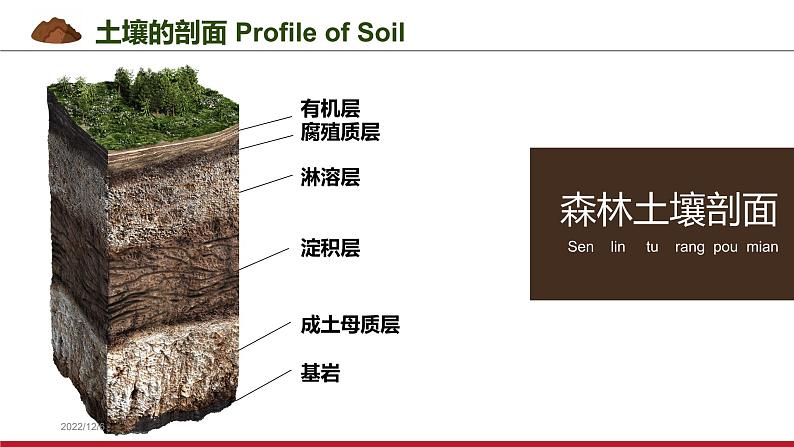 3.4分析土壤形成的原因 课件05