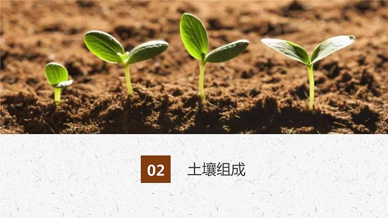 3.4分析土壤形成的原因 课件08