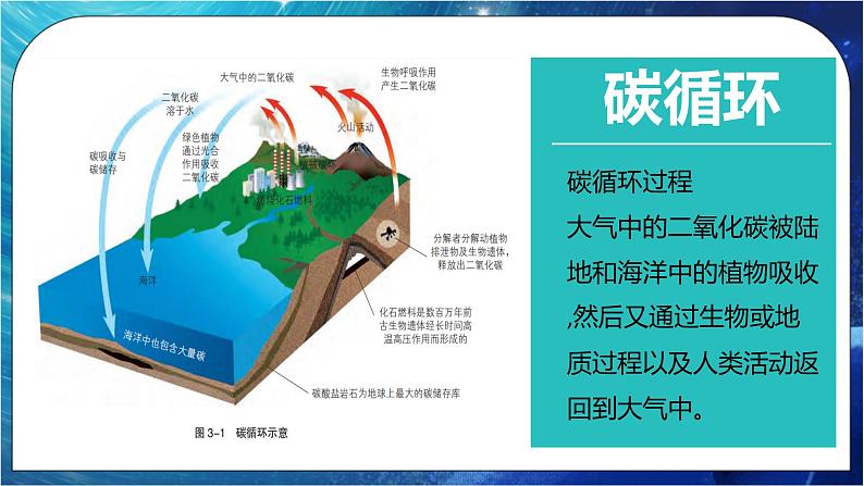 3.1 碳排放与国际减排合作 课件+练习（解析版）湘教版高二地理选择性必修307