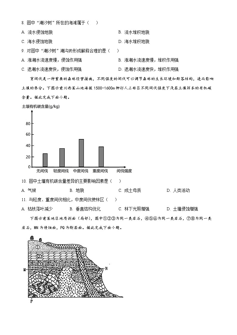 2023合肥高三下学期第一次教学质量检测（一模）地理试题含解析03