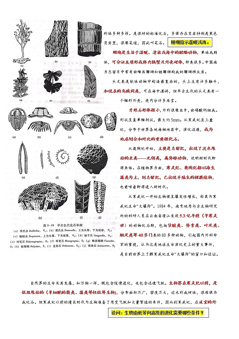 18 早、晚古生代的地质变迁和生物演化～结合相关高考真题-备战高考地理之探讨大学地理知识第2页