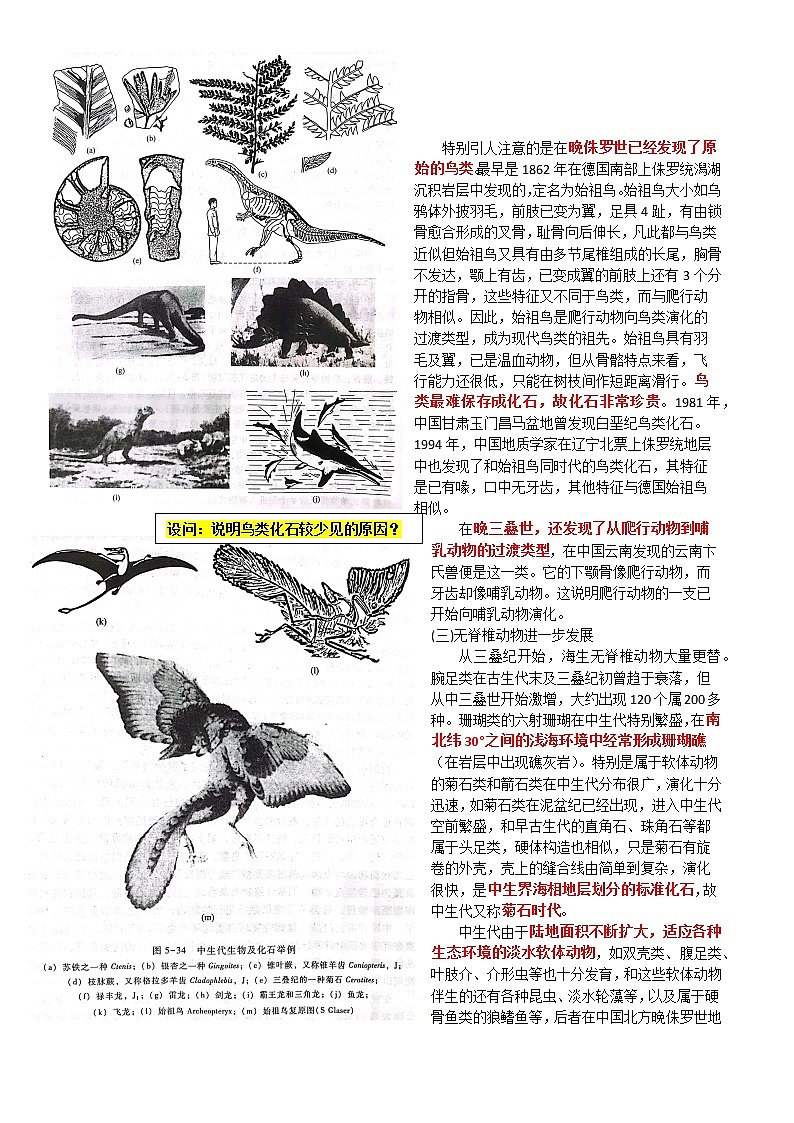 19 中生代的生物演化和大地构造～结合相关高考真题-备战高考地理之探讨大学地理知识第2页