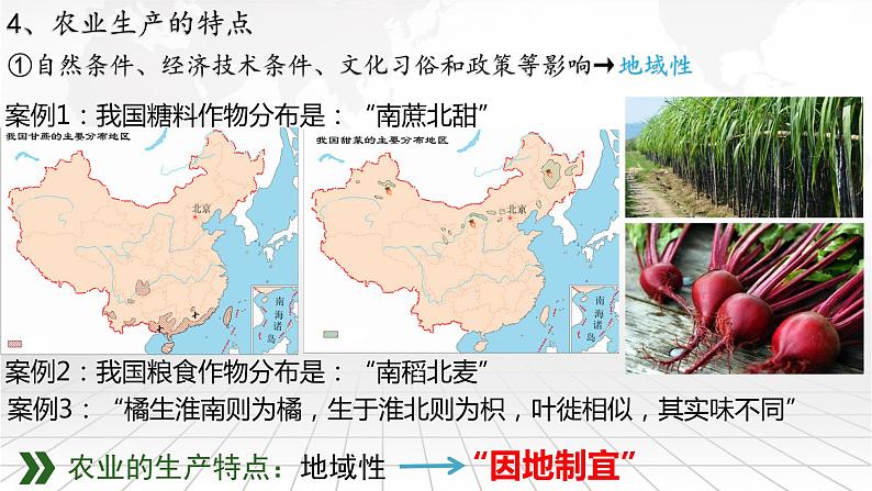 2023年高中地理人教版必修第二册3.1 农业区位因素及其变化 课件+教案+练习含解析05