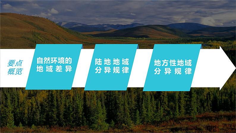 新人教版高考地理一轮复习课件  第1部分 第6章 第2讲 课时41　陆地地域分异规律　地方性分异规律05