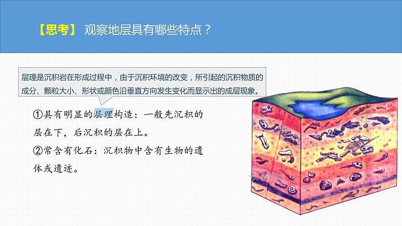 新人教版高考地理一轮复习课件  第1部分 第2章 第1讲 课时6　地球的历史第8页