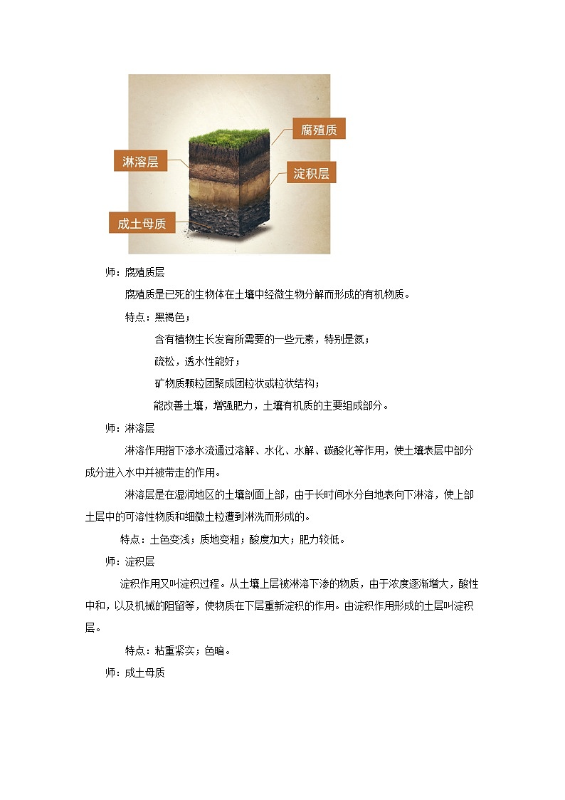 《分析土壤形成的原因》第1课时示范课教案【高中地理鲁教版必修1】03