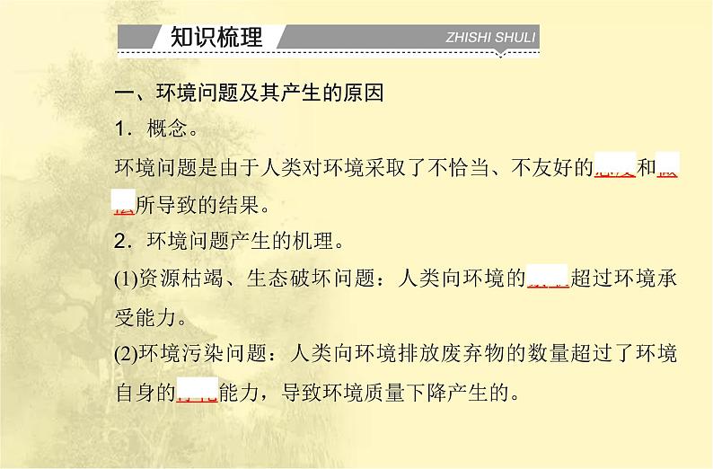 高中地理学业水平合格性考试专题十一环境与发展课件06