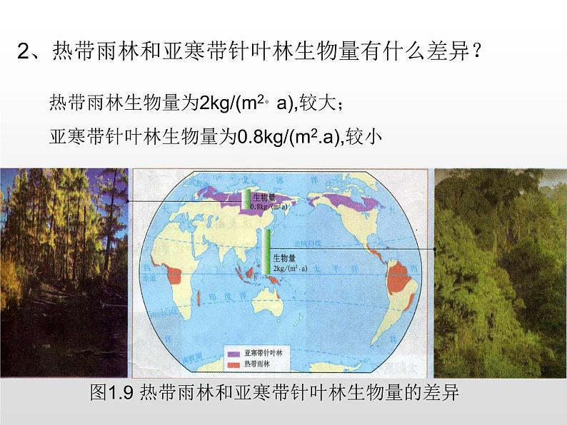 1.2太阳对地球的影响 基础课件-人教版（2019）必修一高中地理08