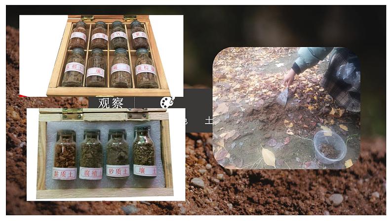 5.2土壤（第1课时） 基础课件-人教版（2019）必修一高中地理06