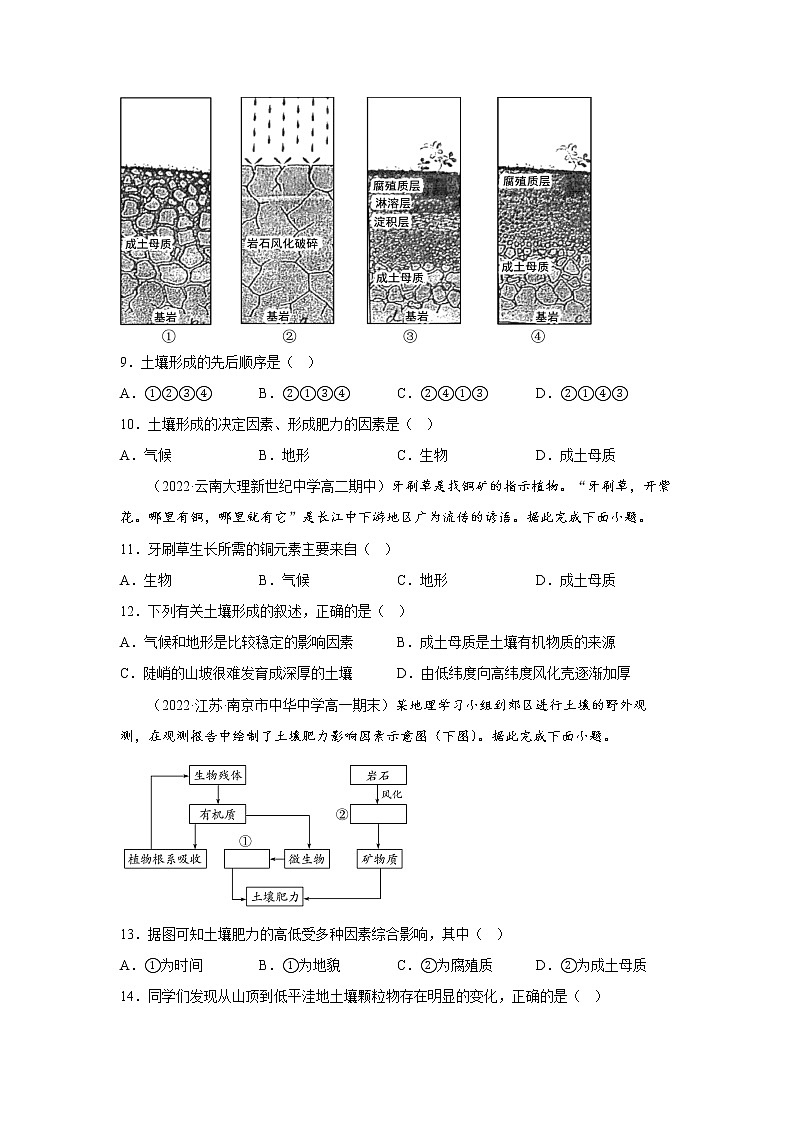第五章 植被与土壤（基础卷）-2022-2023学年高一地理单元复习（人教版2019必修第一册）03
