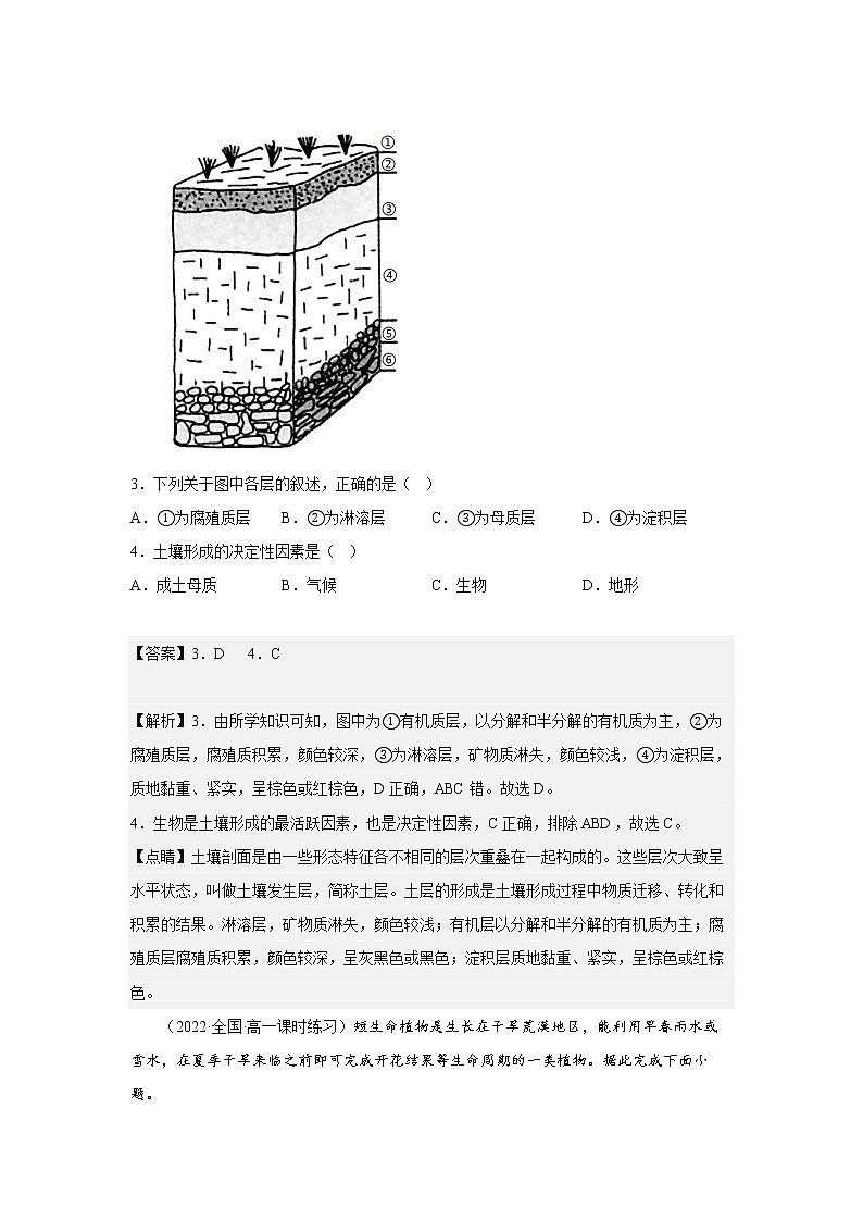 第五章 植被与土壤（基础卷）-2022-2023学年高一地理单元复习（人教版2019必修第一册）02