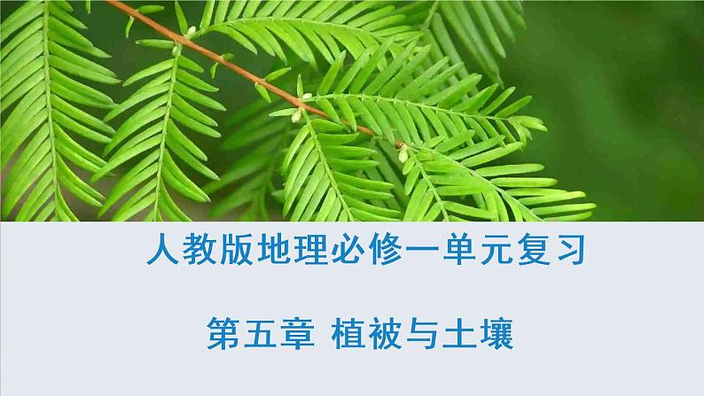 第五章 植被与土壤（复习课件）- 2022-2023学年高一地理单元复习（人教版2019必修第一册）第1页