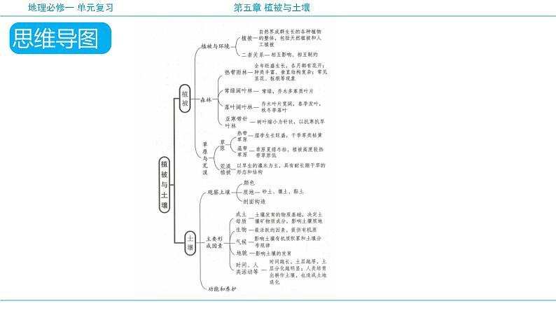 第五章 植被与土壤（复习课件）- 2022-2023学年高一地理单元复习（人教版2019必修第一册）第6页